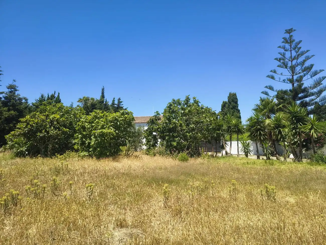 Chalet en venta en Conil, imagen 24