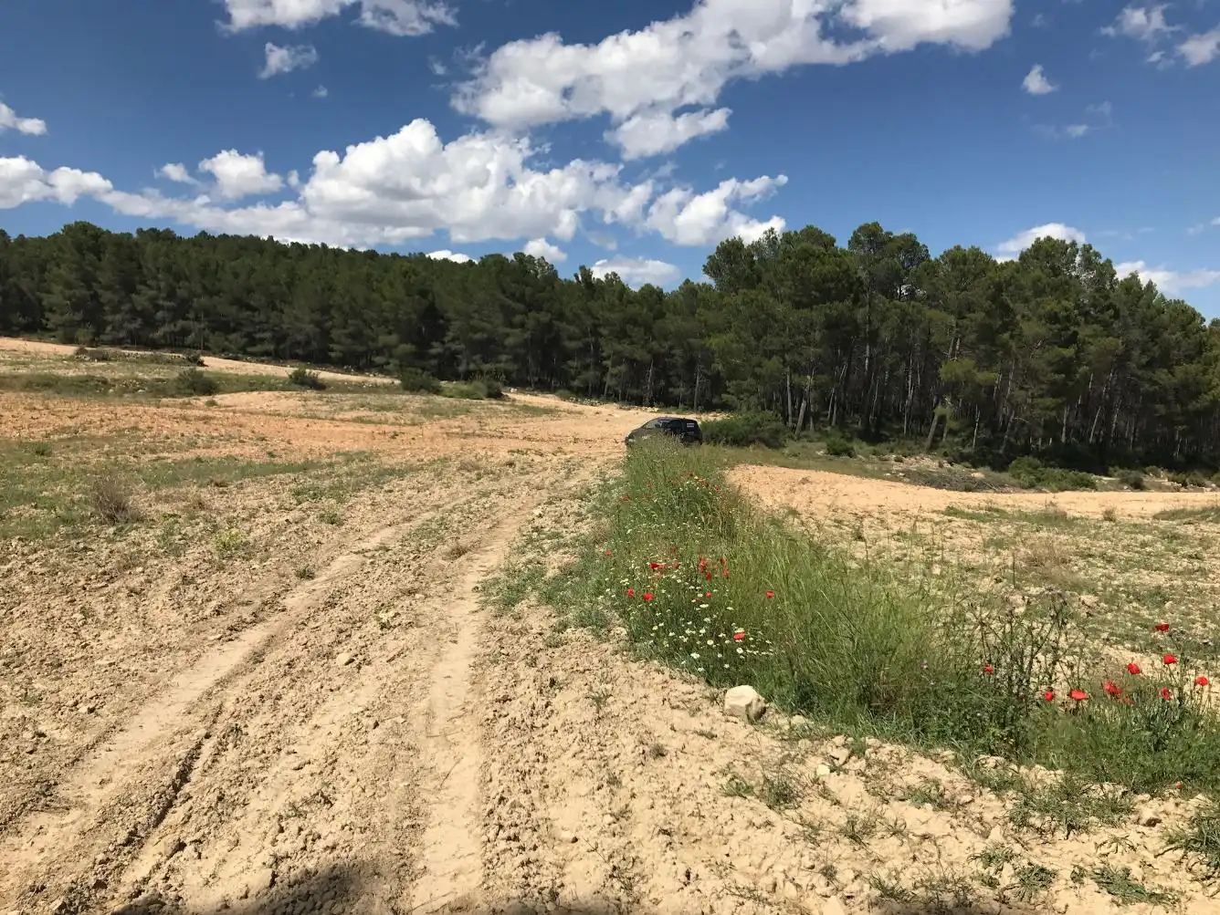 Terreny rústic en venda a Caravaca de la Cruz, imagen 17