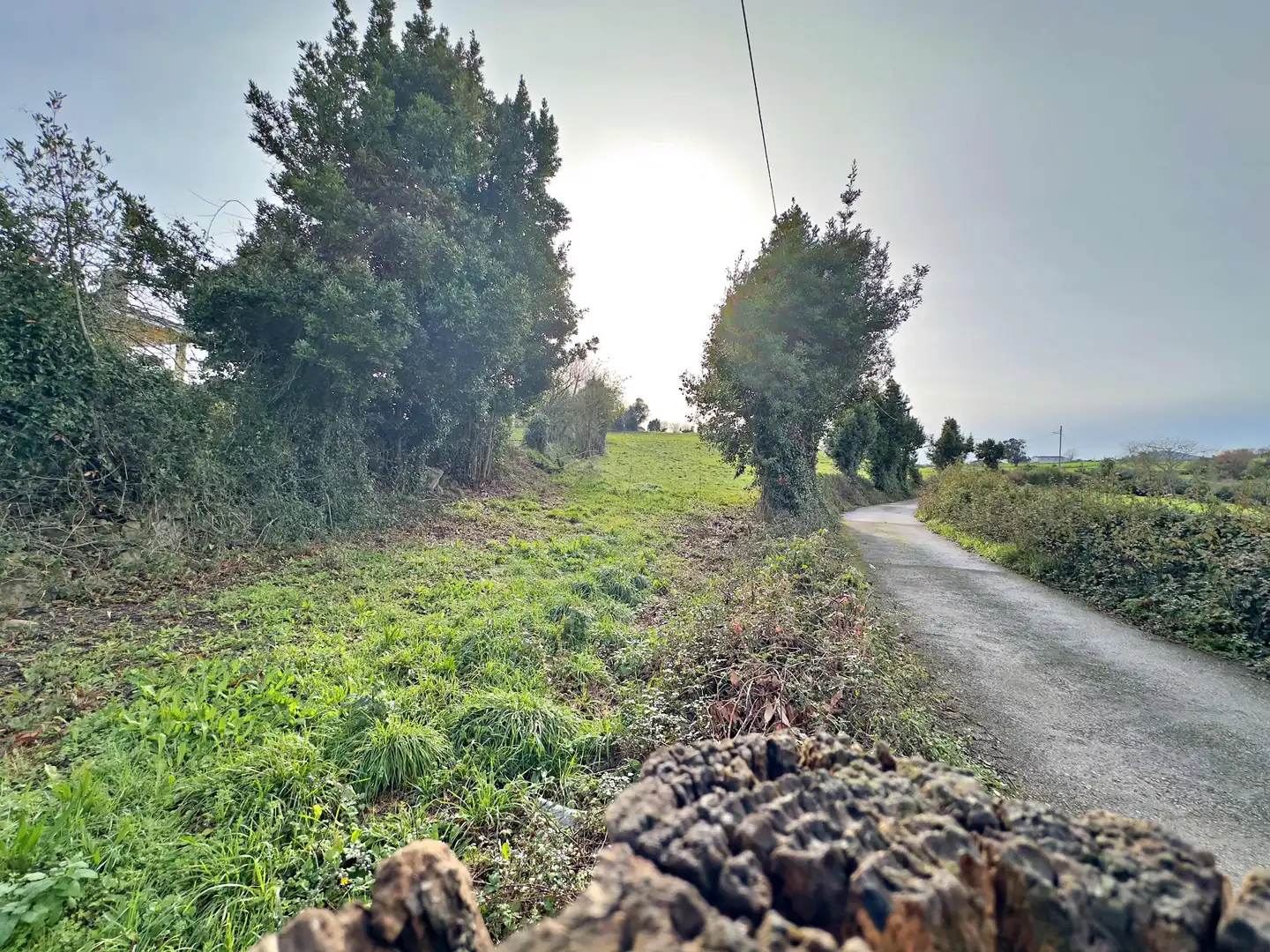 Terreno residenziale in vendita a Rural, imagen 4