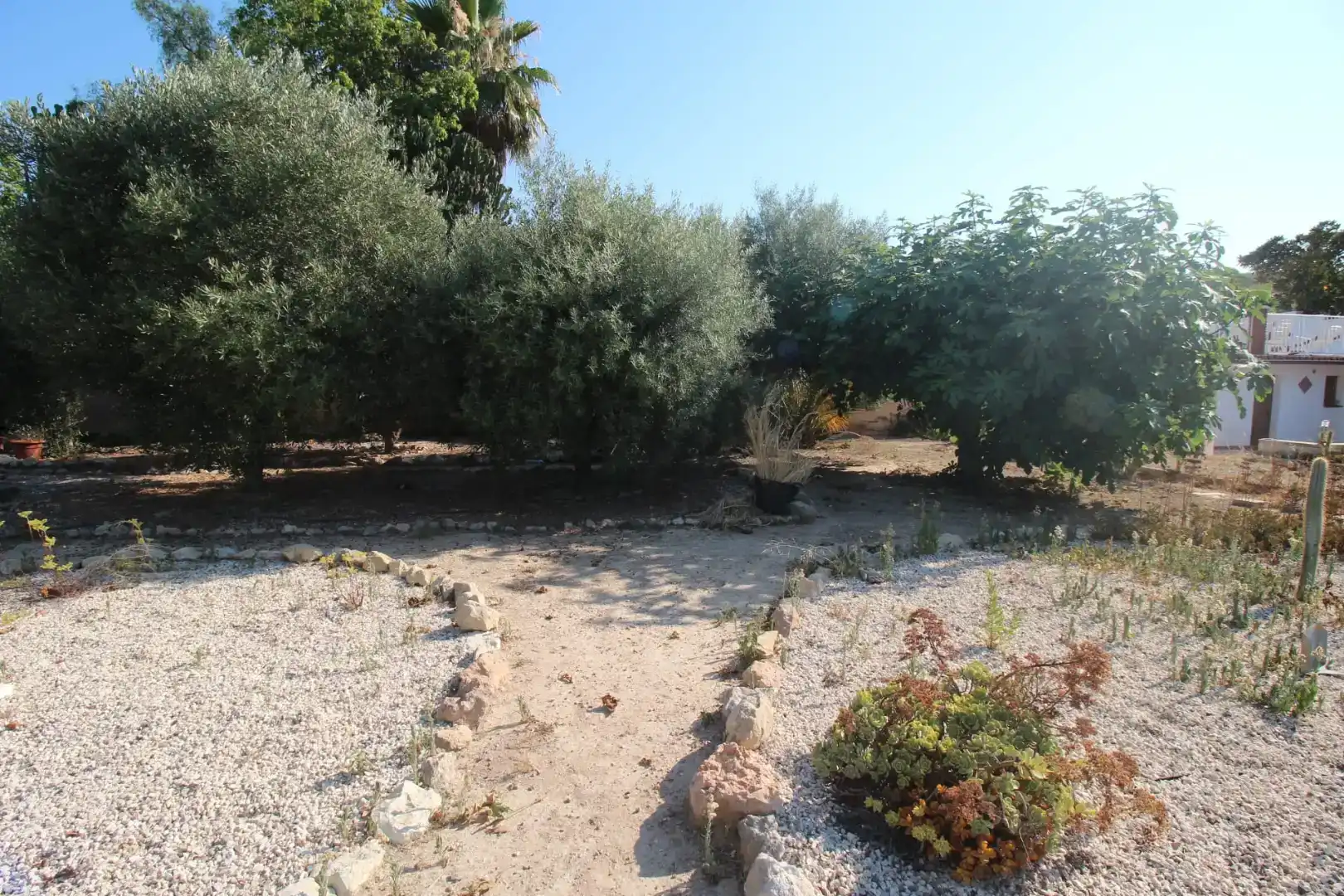 Finca rústica en venda en Alicante / Alacant amb Aire condicionat i Piscina