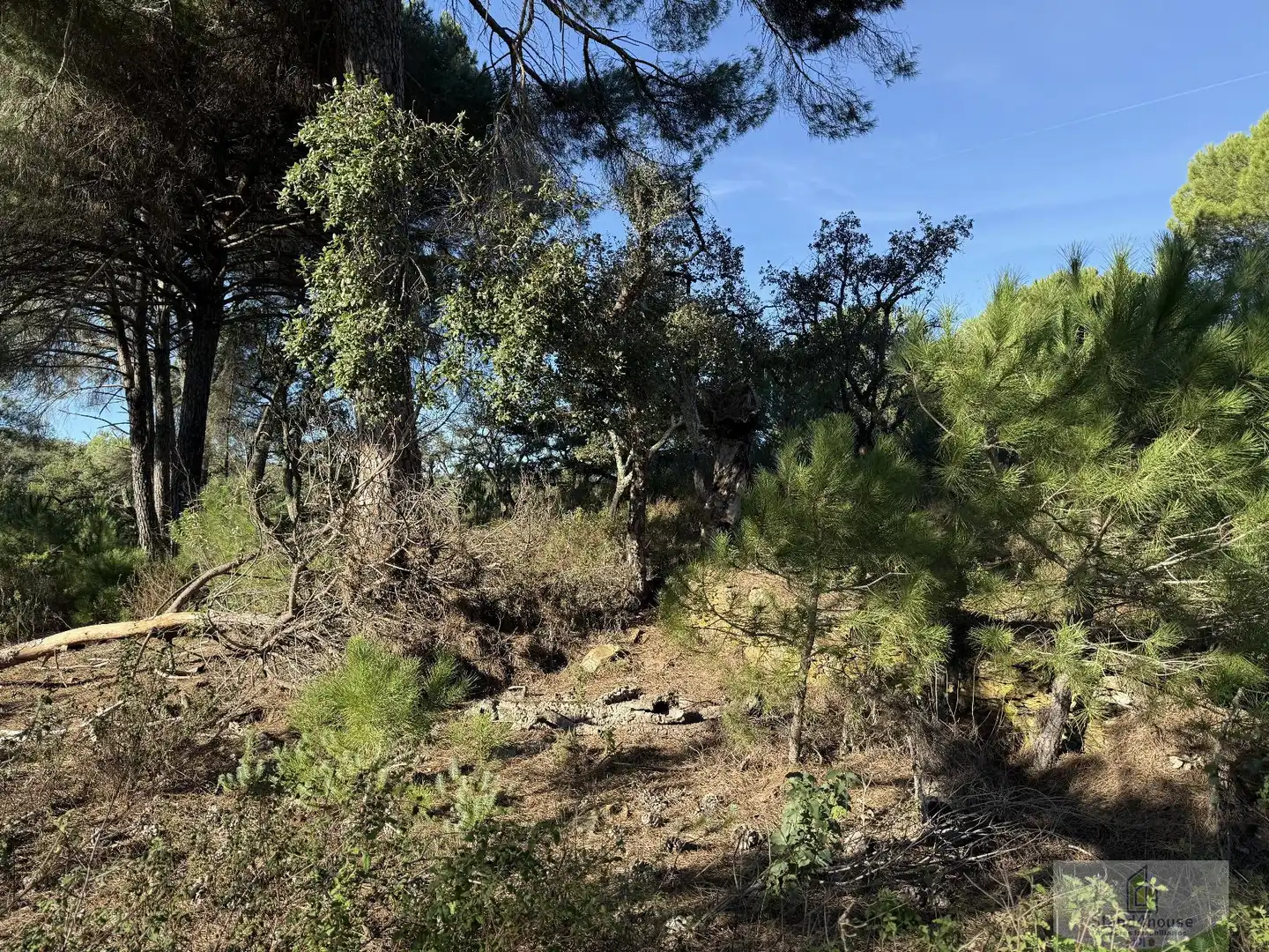 Residencial en venda en Berrocal