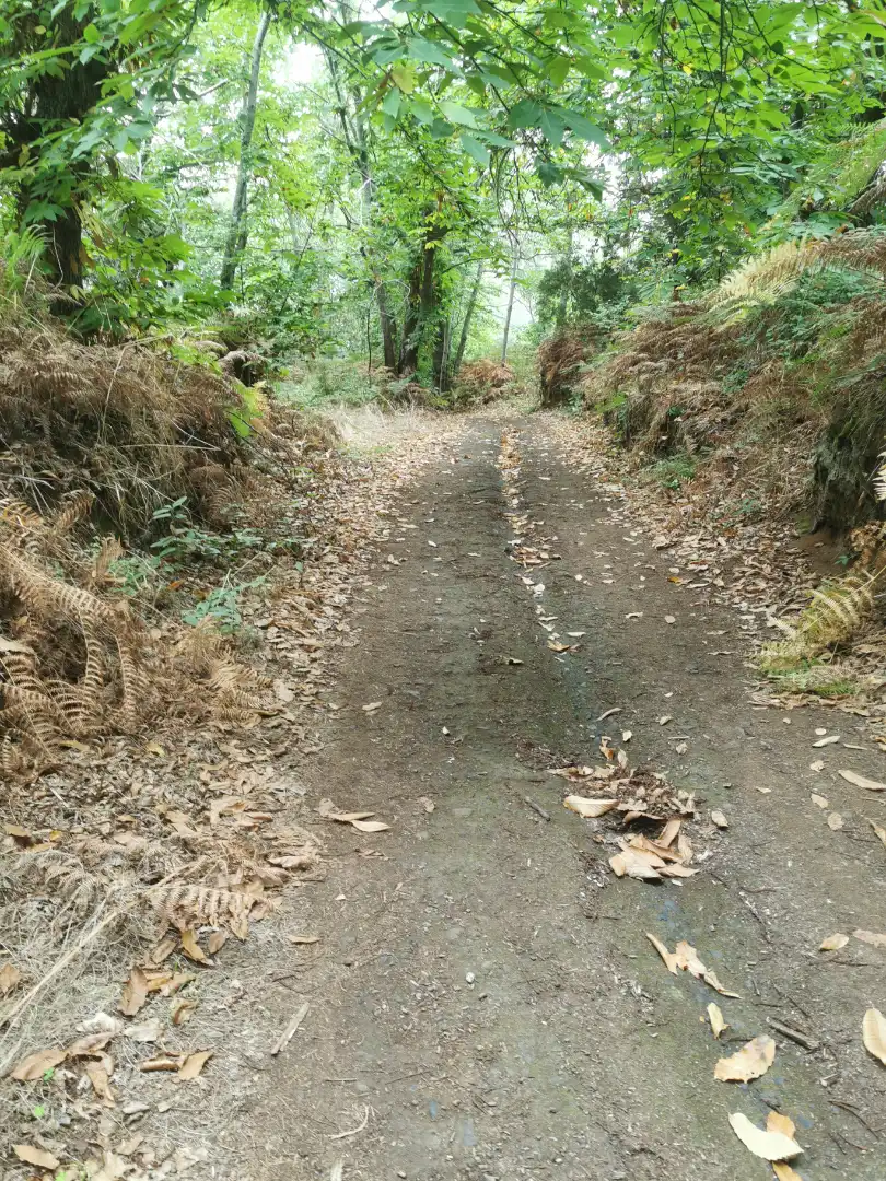 Außenansicht von Grundstücke zum Verkauf in Santa Úrsula