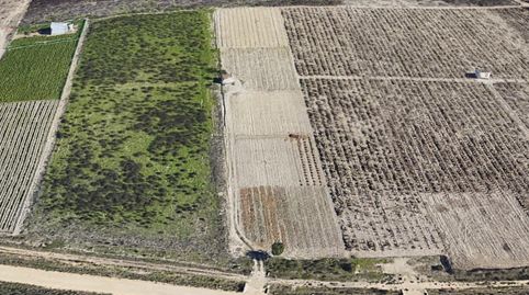 Foto 2 de Residencial en venda a Camino Punta del Aguila, Las Palmeras - Dehesilla, Sanlúcar de Barrameda