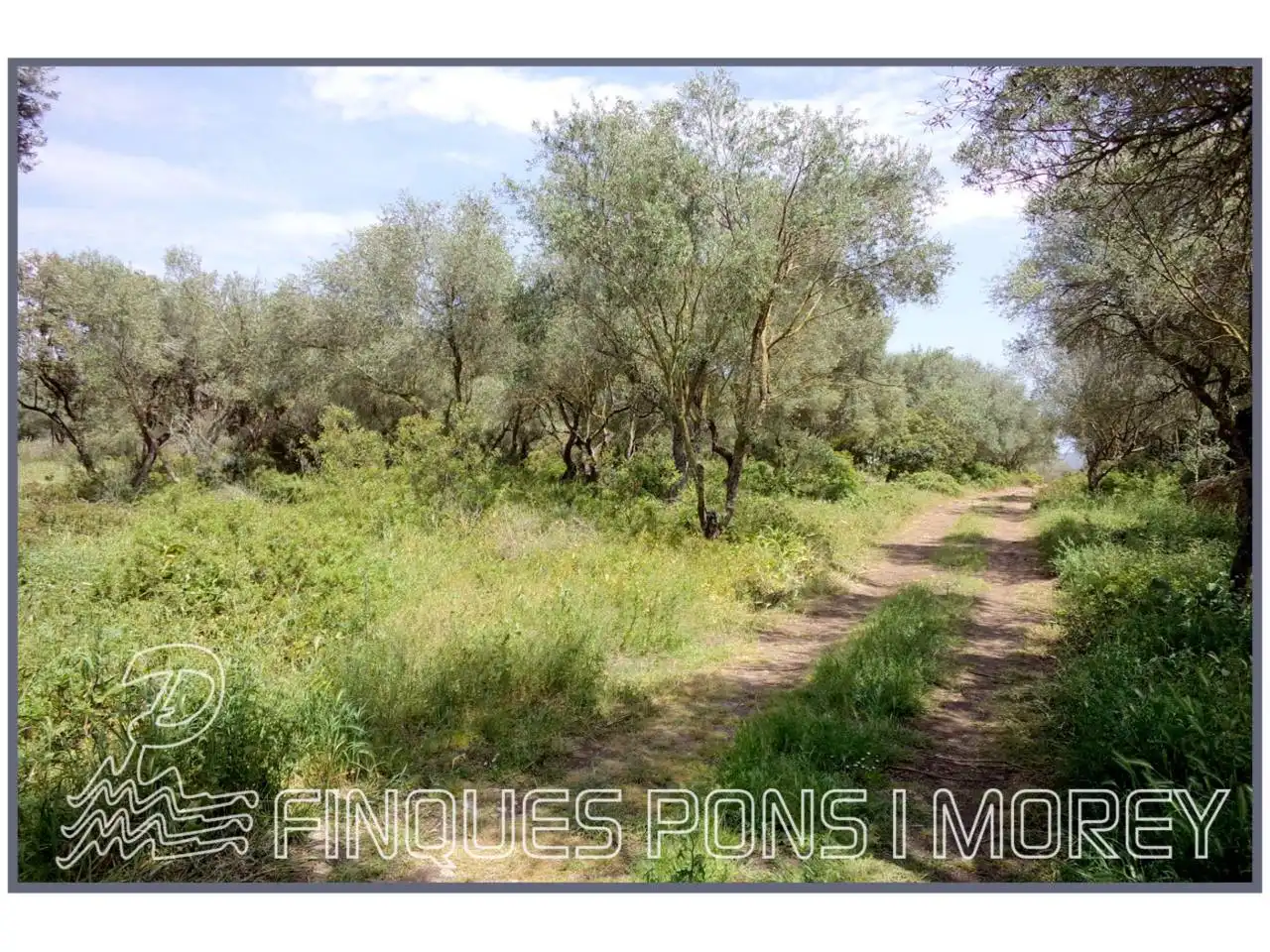 Rustikales Grundstück zum Verkauf in Camino Sta Magdalena sn, imagen 34