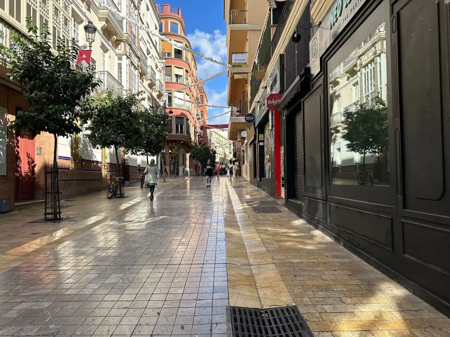 Vista exterior de Local en venta en Málaga con Aire acondicionado