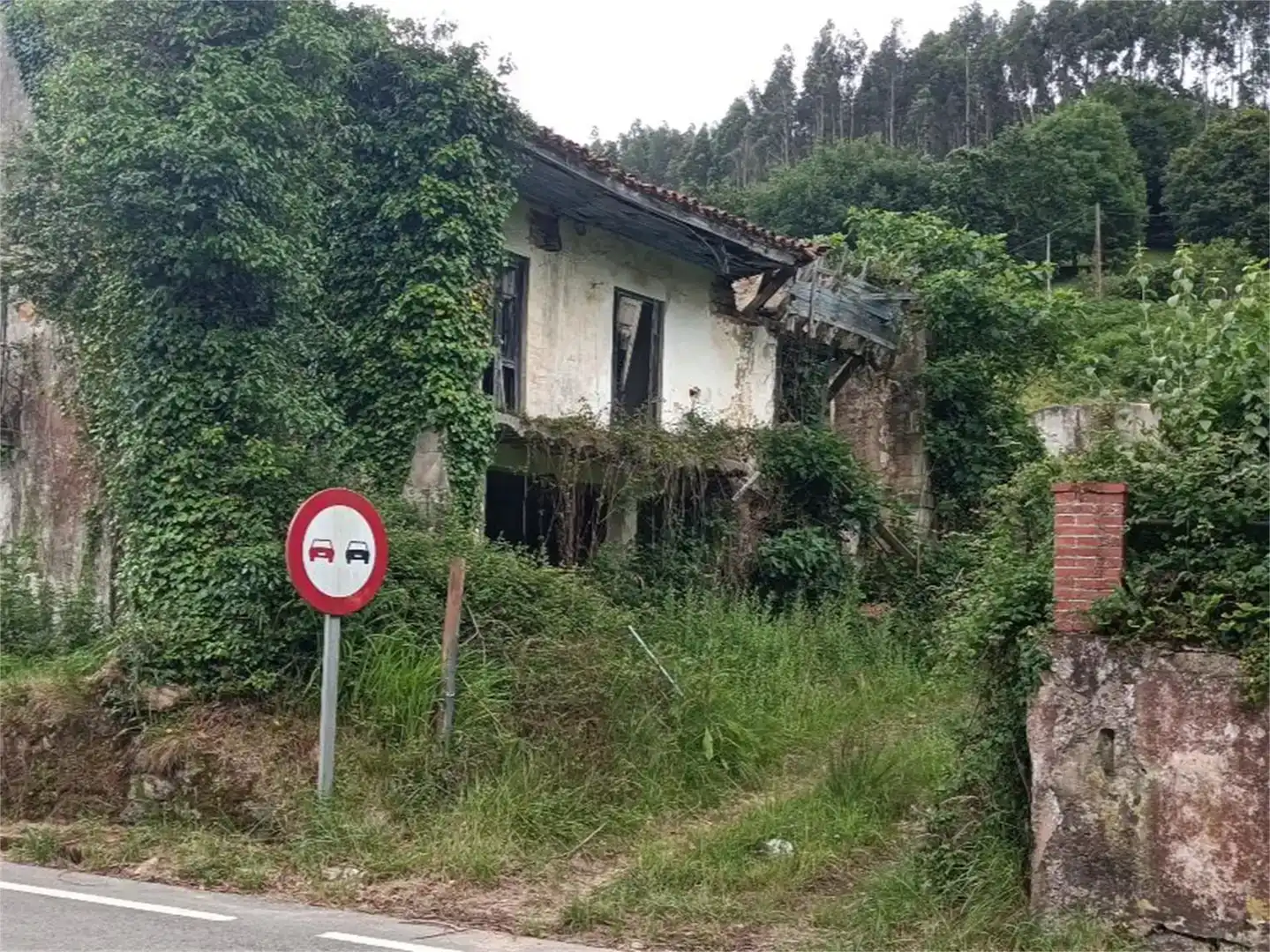 Detached homes for sale in Piélagos