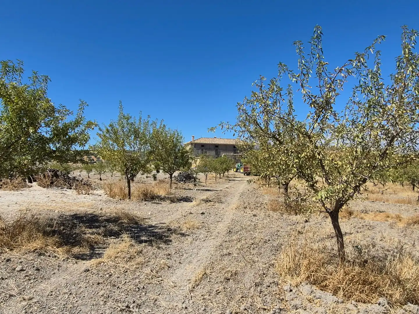 Terreny rústic en venda a Alhama de Granada, imagen 3