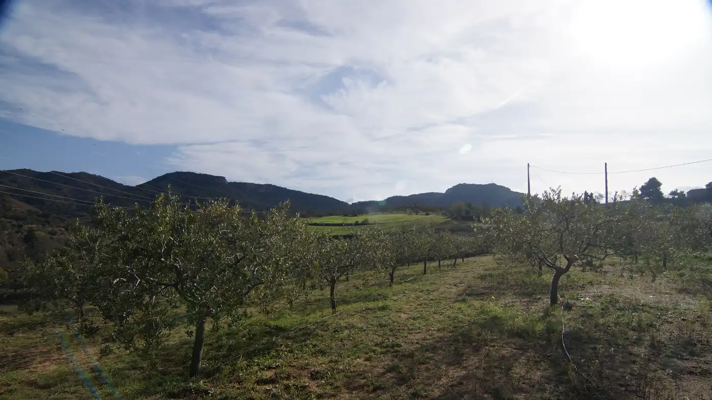 Country homes for sale in Falset  with Private garden