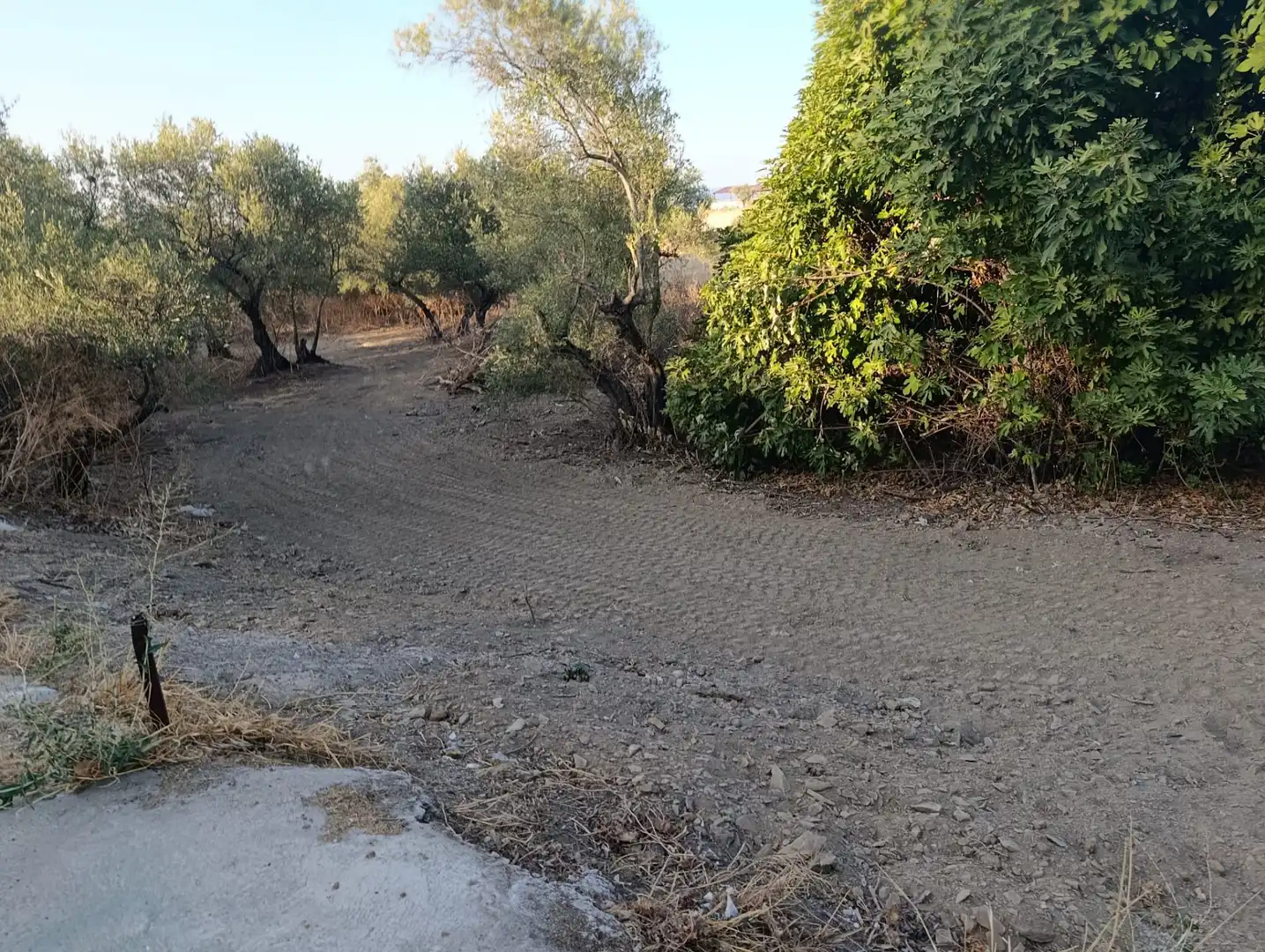 Rural land for sale in Calle Medina 14, imagen 4