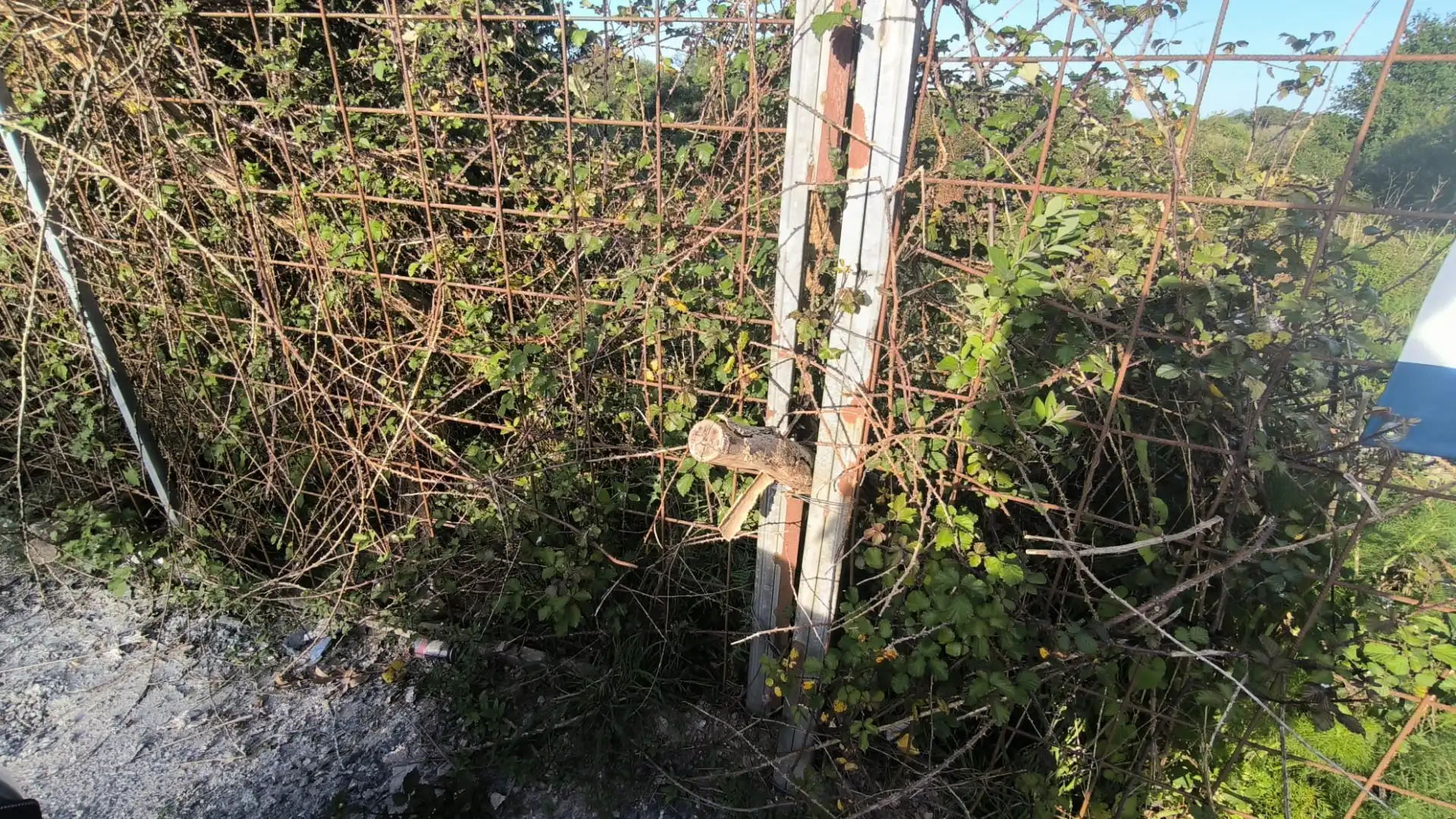 Terreni e lotti in vendita a Travesía de Cacheiras, imagen 4