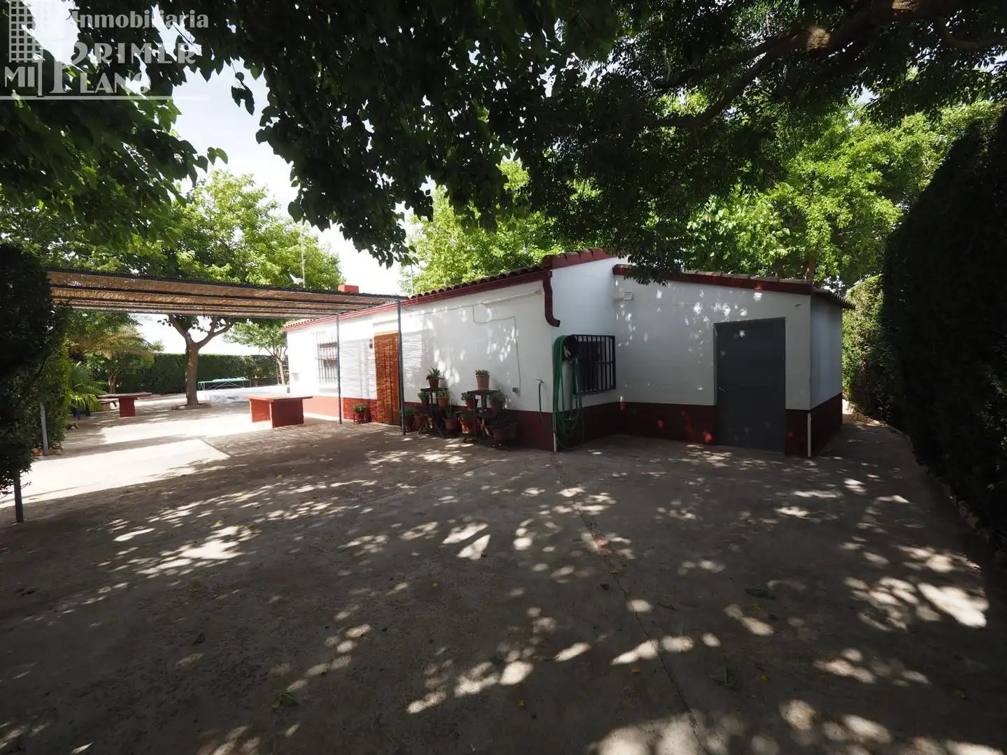 Exterior view of Houses for sale in Argamasilla de Alba  with Swimming Pool