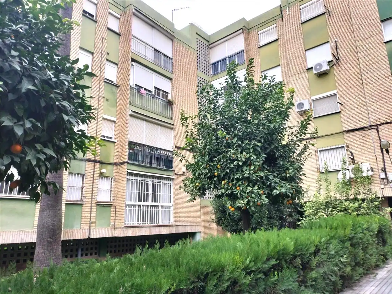 Vista exterior de Piso en venta en Castilleja de la Cuesta
