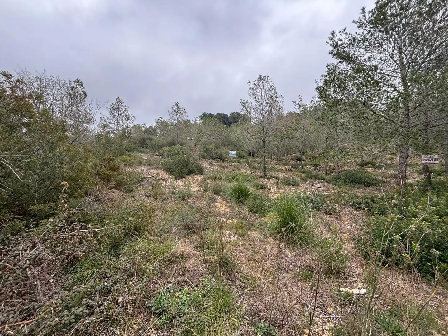 Terreny residencial en venda a Olivella, imagen 18