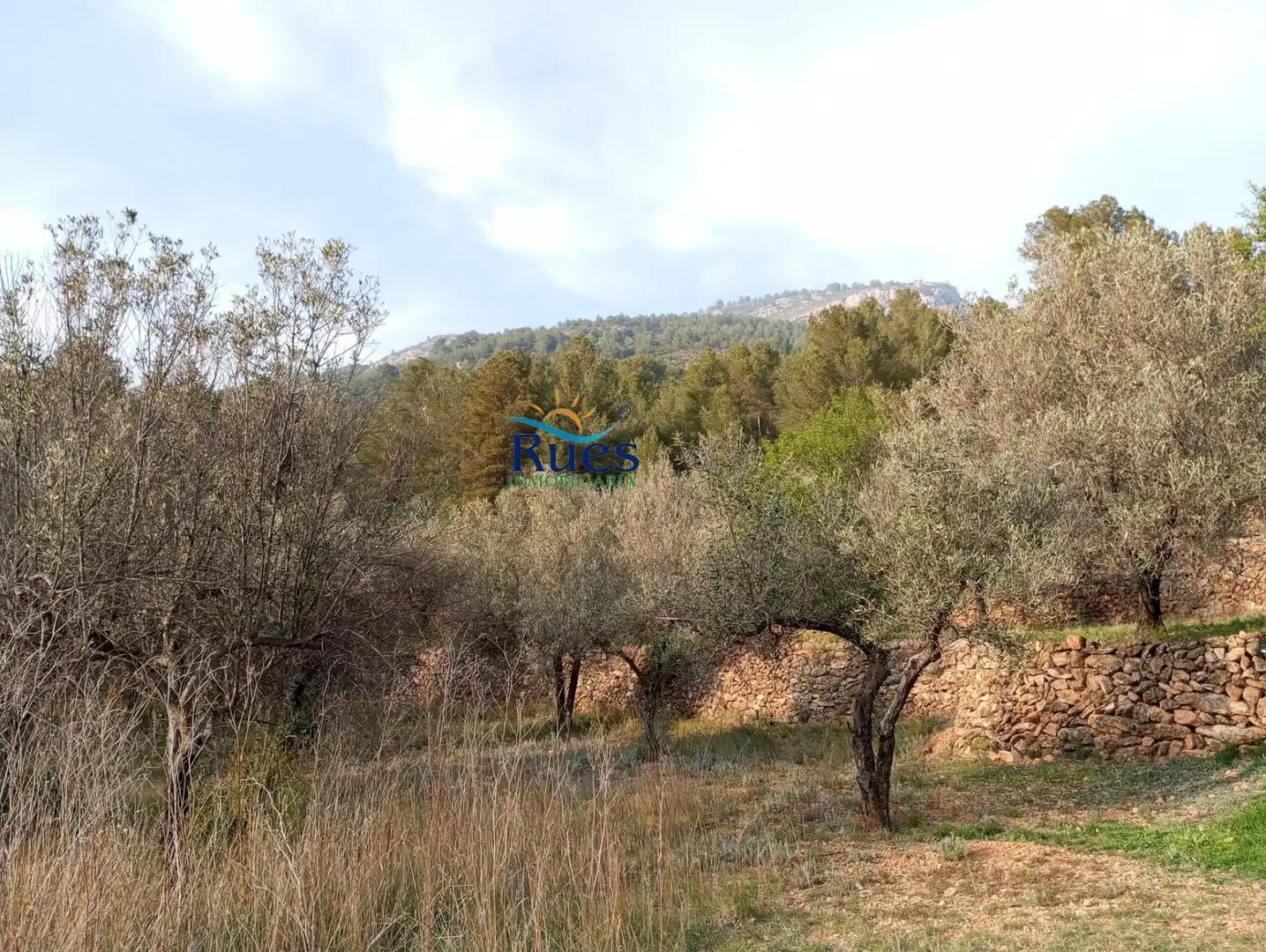 Country house zum Verkauf in MOLINO VIEJO, Figueroles