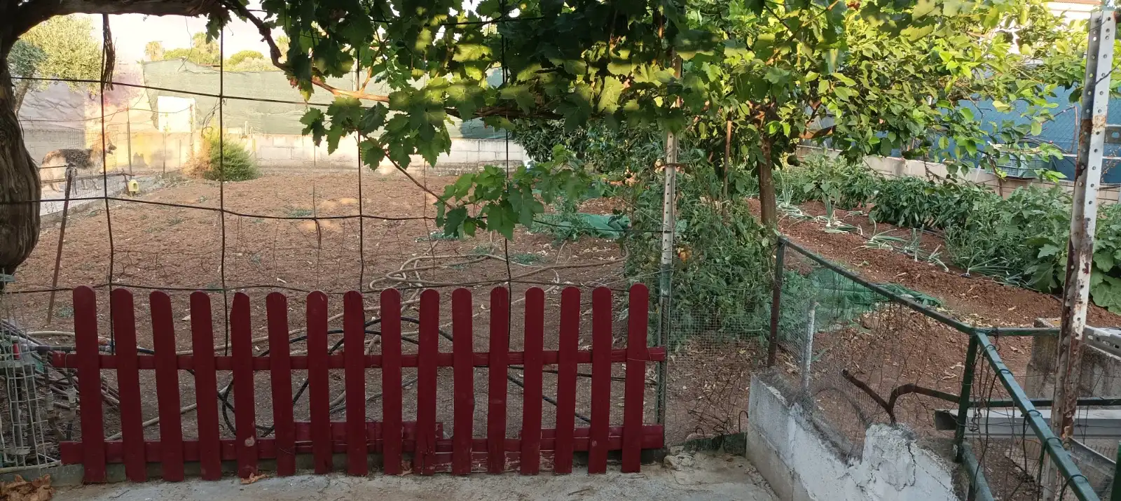 Casa rustica con piscina in vendita a Calle San Vicente, imagen 33