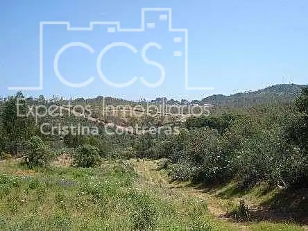 Terreni e lotti in vendita a El Castillo de las Guardas, imagen 15