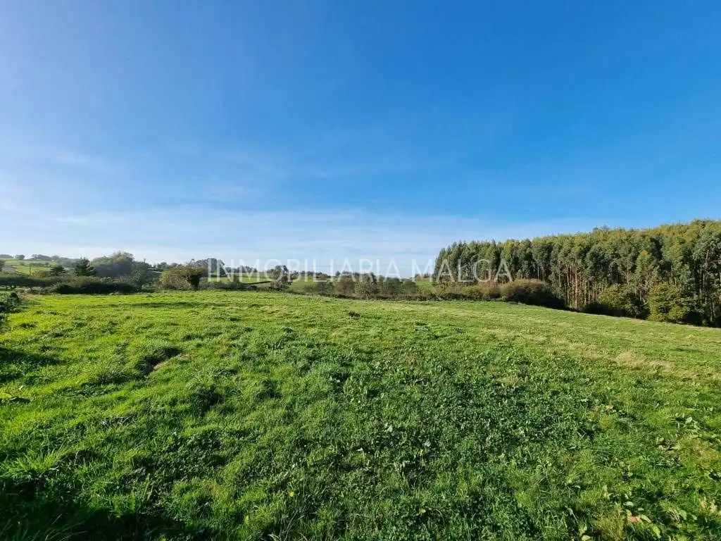 Residential for sale in Colunga