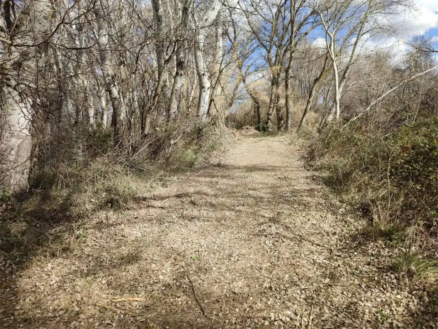 Land for sale in Botorrita