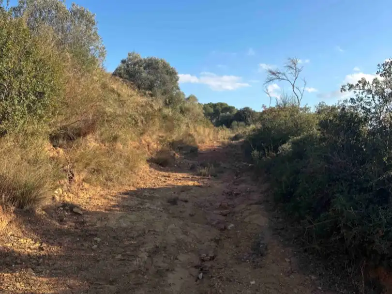 Terreny rústic en venda a Camino de Llabia a Palau S-numero, imagen 7