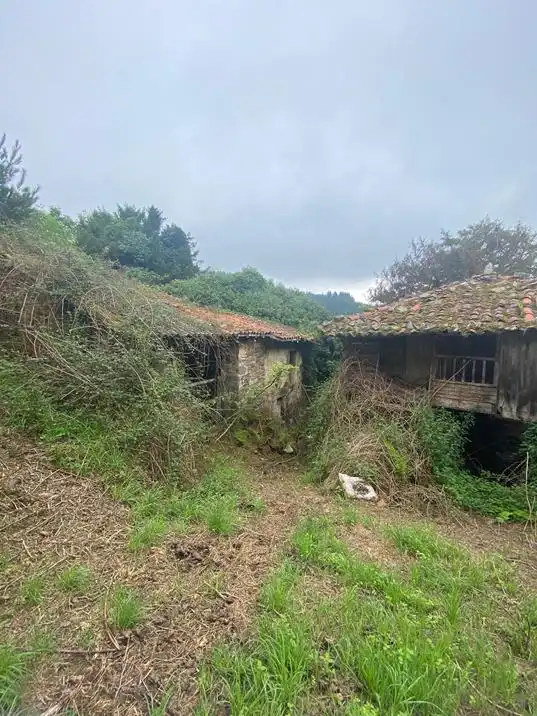 Finca rústica en venta en Salas