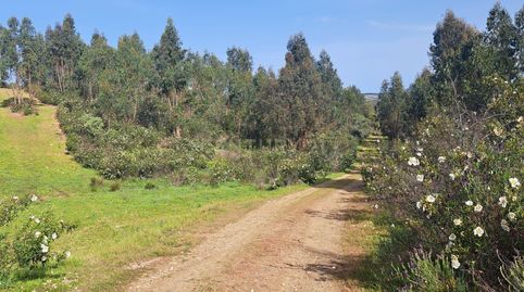 Foto 2 de Terreno en venta en Polígono 3 Parcela 2 la Garapetosa. Herrera de Alc, -1, Herrera de Alcántara, Cáceres