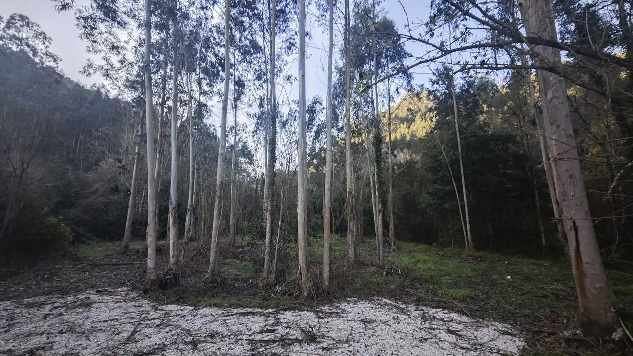 Terreno rustico in vendita a Pría - Nueva-Hontoria - Naves, imagen 8