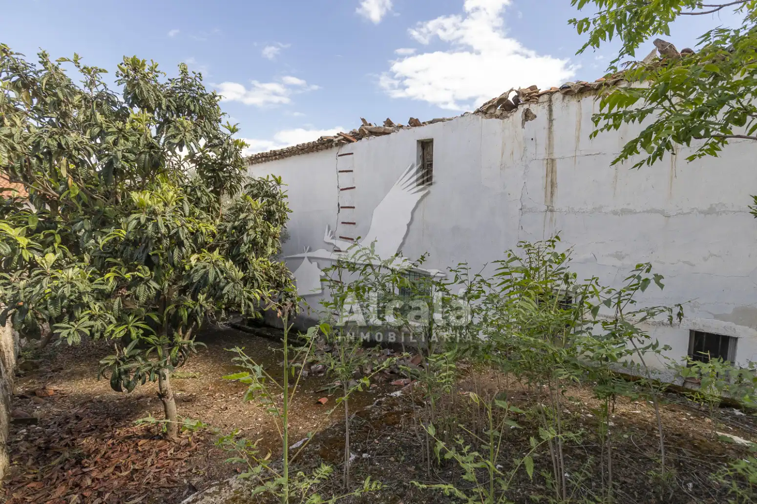 Garden of Residential for sale in Santorcaz