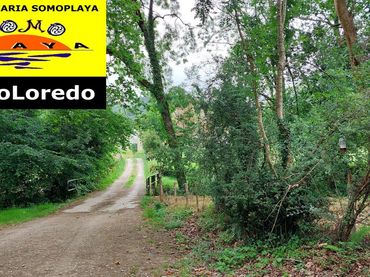 Lands and plots for sale in Ribamontán al Monte