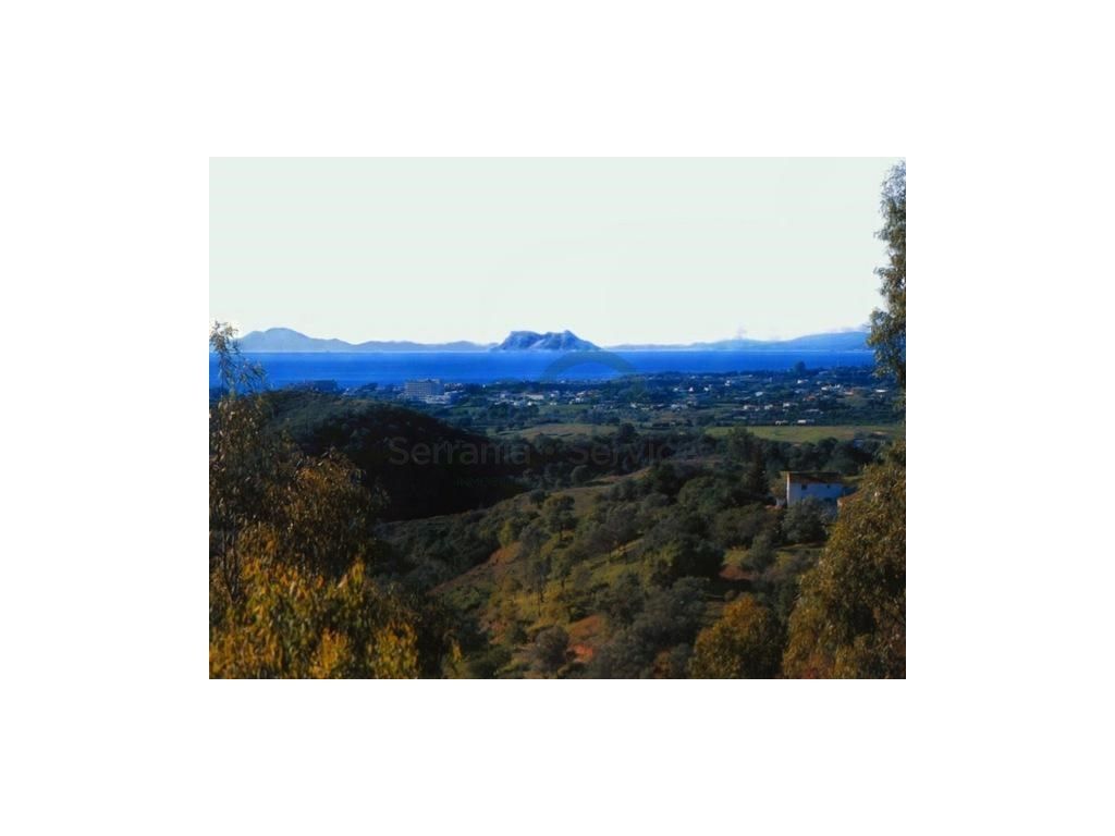 Exterior view of Country house for sale in Estepona