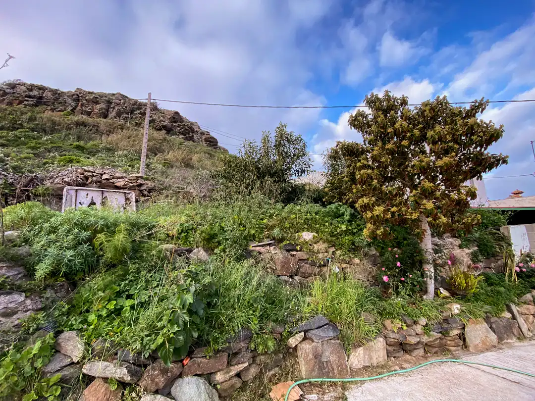 Jardín de Finca rústica en venta en Moya (Las Palmas)