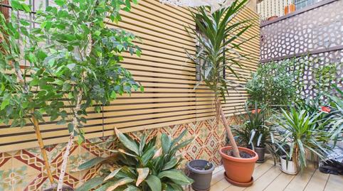 Foto 4 de Planta baixa en venda a Sant Jaume, Palma de Mallorca