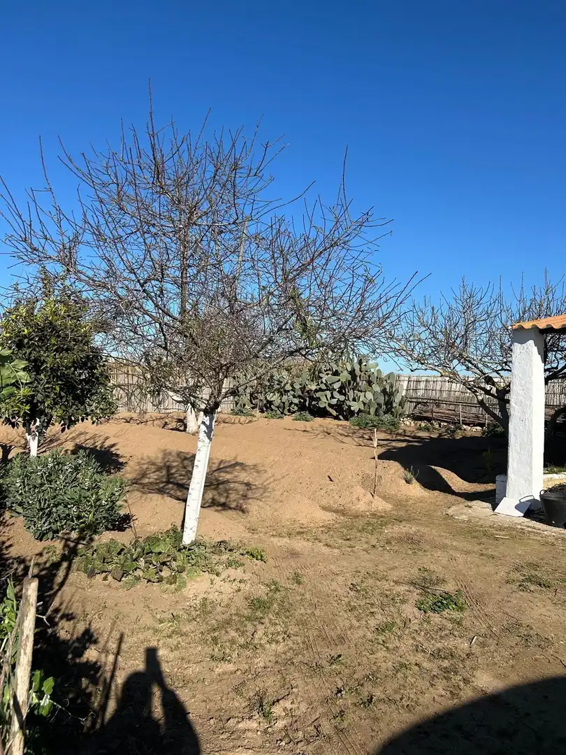 Grundstücke zum Verkauf in Chipiona