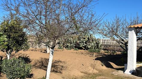 Photo 4 of Land for sale in Playa Cruz del Mar, Cádiz