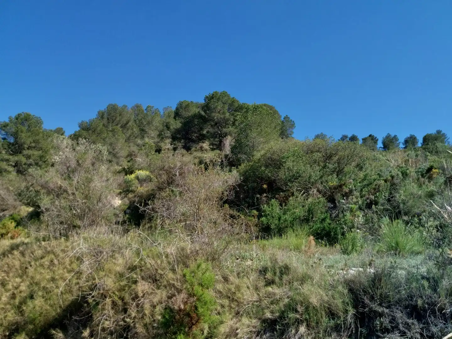 Terreno rustico in vendita a Lugar Castillo, imagen 30