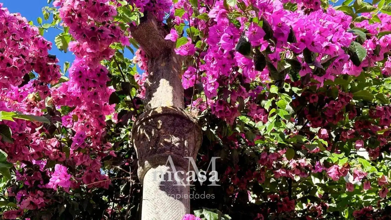 Xalet amb jardí en venda a Paseo MARITIMO, imagen 7