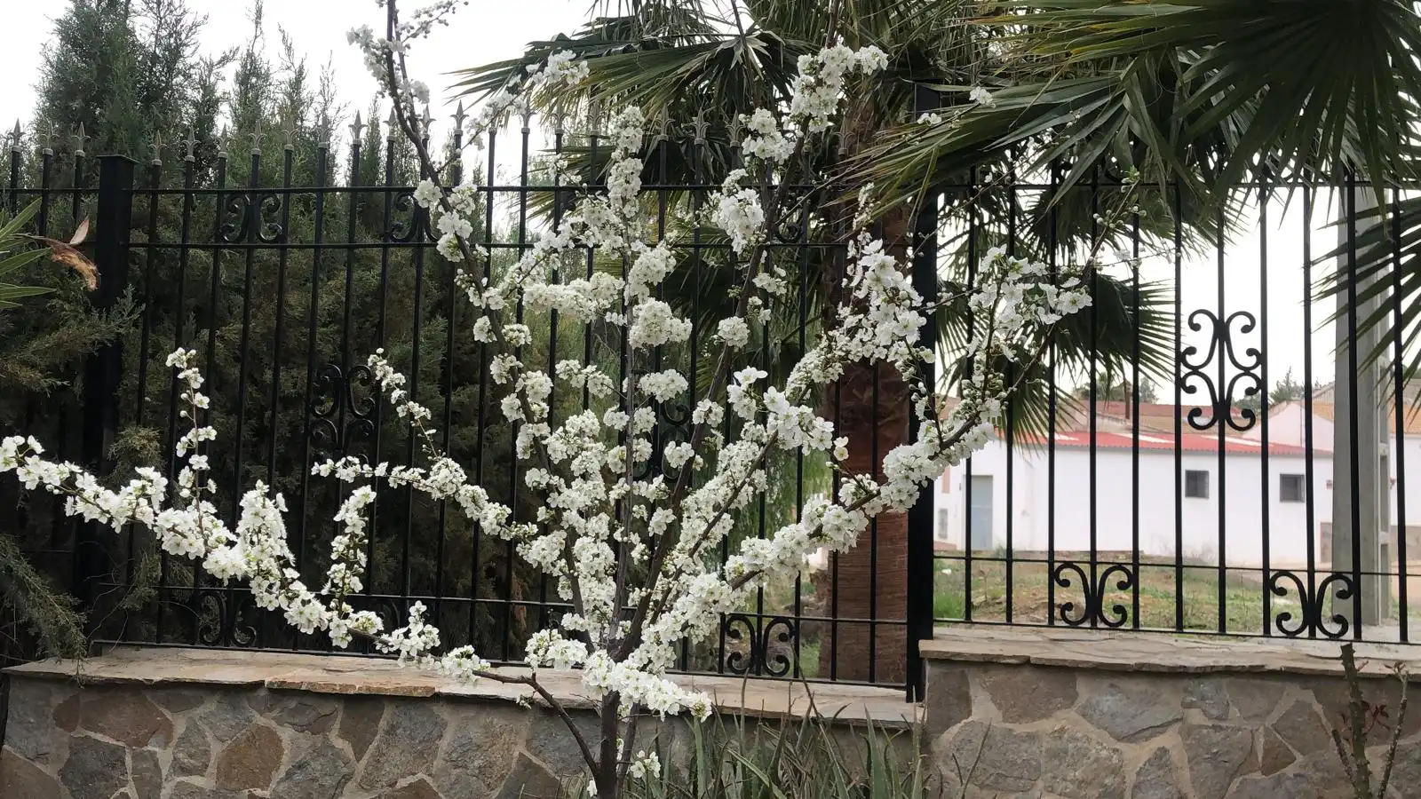 Garden of Houses for sale in Jaén  with Air Conditioner and Furnished