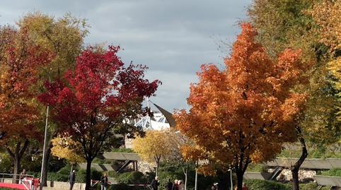 Photo 2 of Flat for sale in Pilar,  Madrid Capital