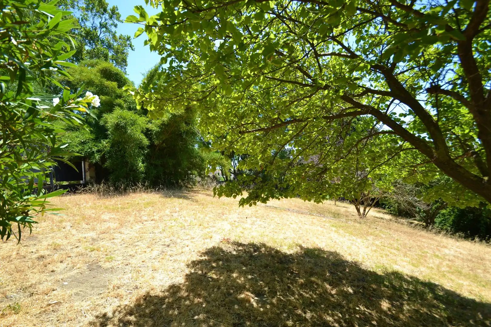 Terreno residenziale in vendita a San Pedro de Alcántara, imagen 3