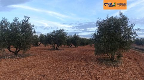 Foto 2 de Finca rústica en venta en Valdepeñas, Ciudad Real