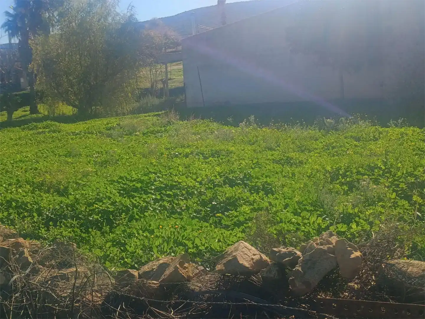 Country homes for sale in Siruela