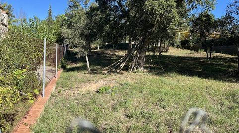 Terreno en alquiler en Sils