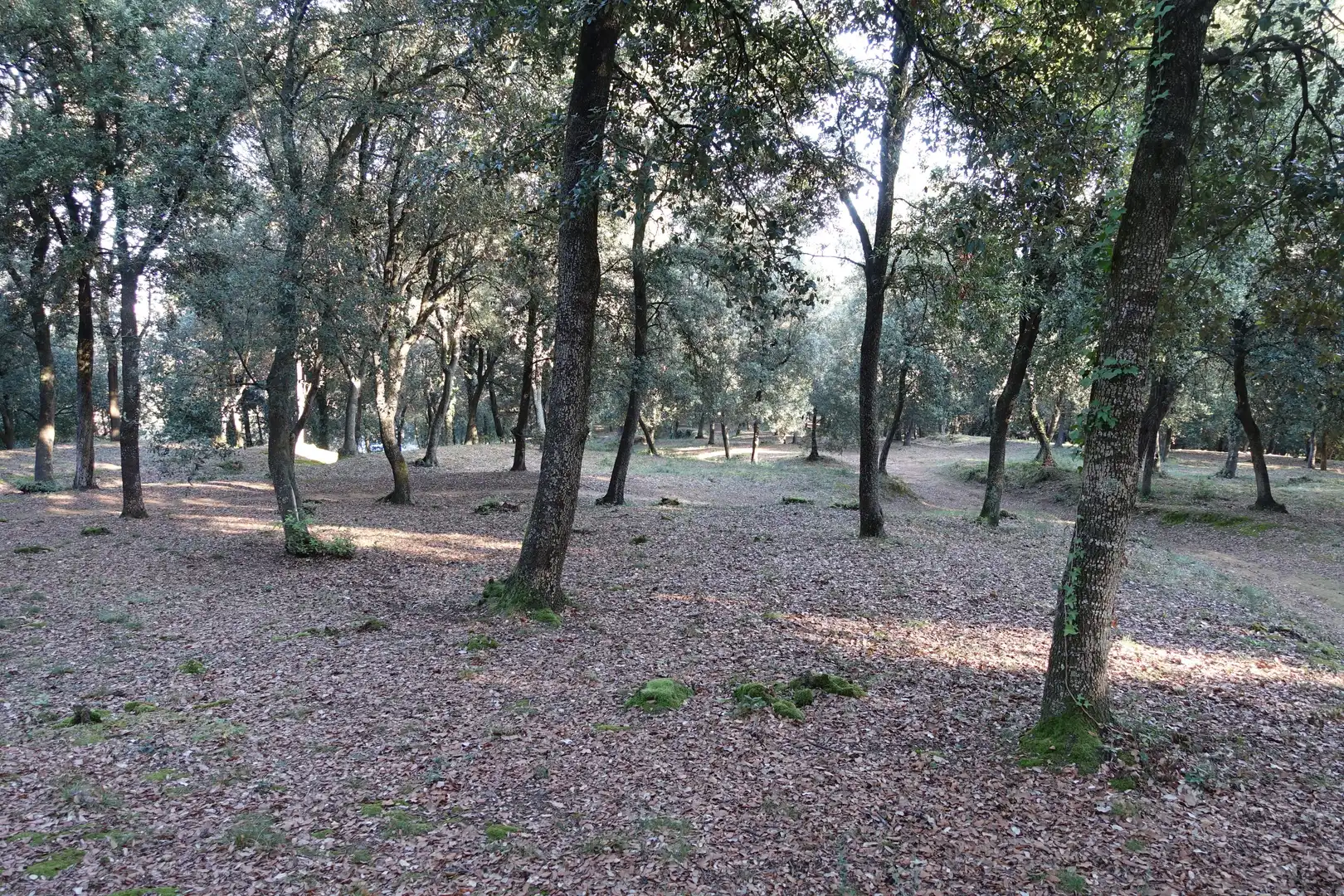 Terreno residenziale in vendita a Diseminado Afueras, imagen 5