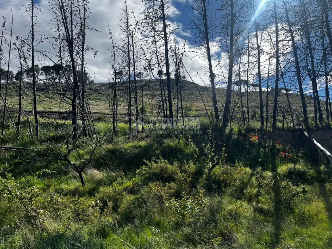 Land for sale in Borja