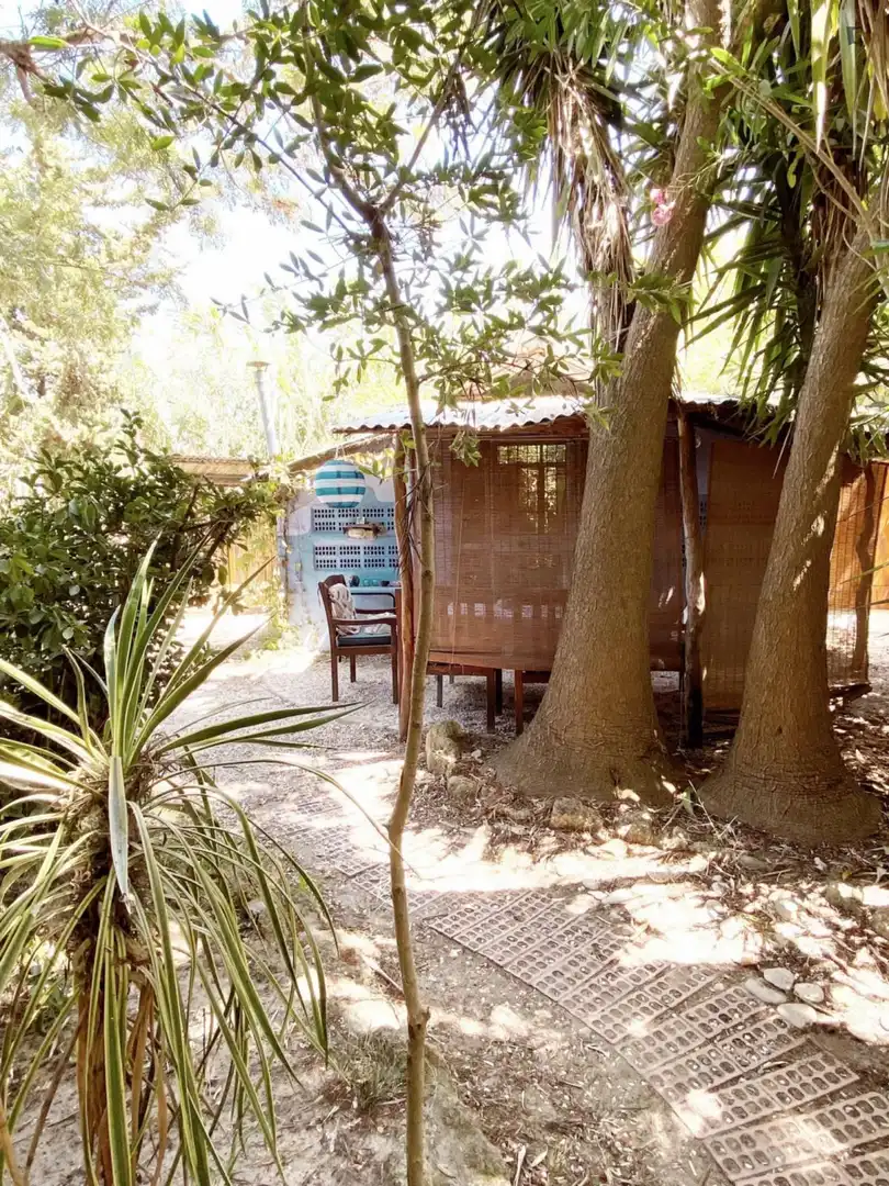 Houses for rent in Barbate ciudad