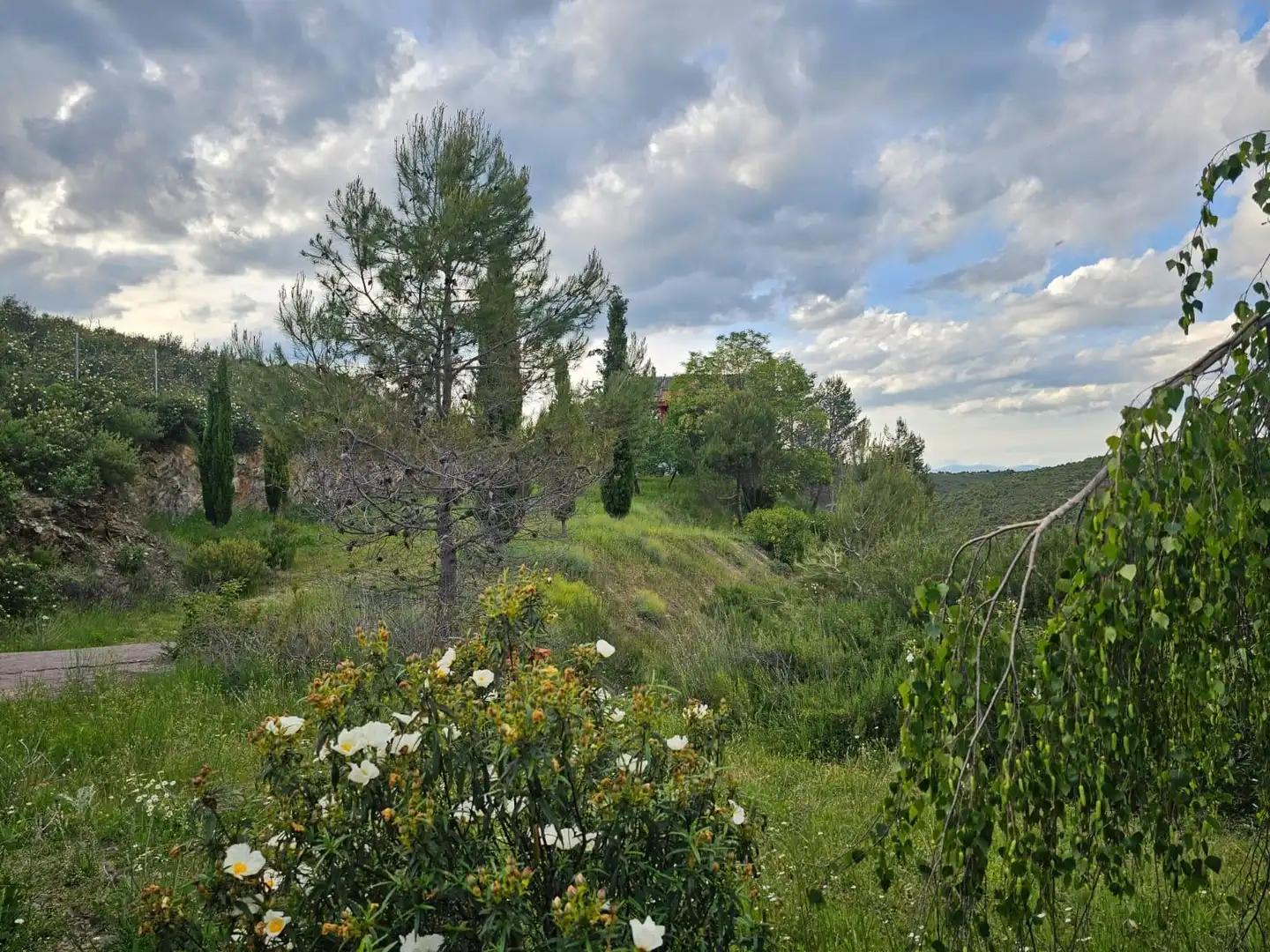 Houses for sale in Torremocha de Jarama  with Heating, Private garden and Terrace