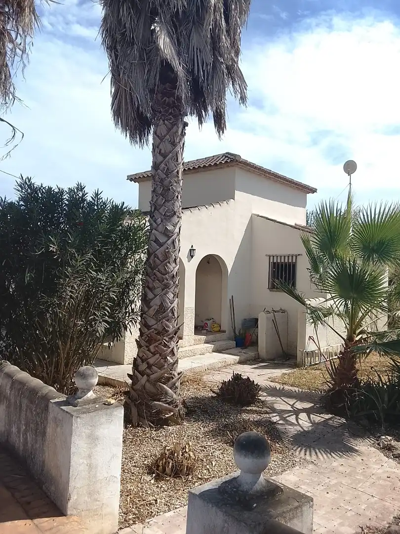 Xalet amb piscina en venda a Avenida de Almoradí 35, imagen 3