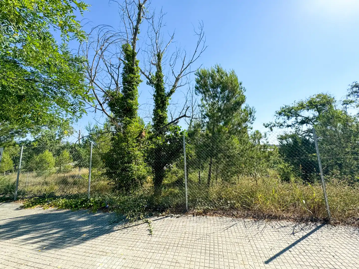 Terreno residencial en venta en Carrer de les Repassadores 5, imagen 3