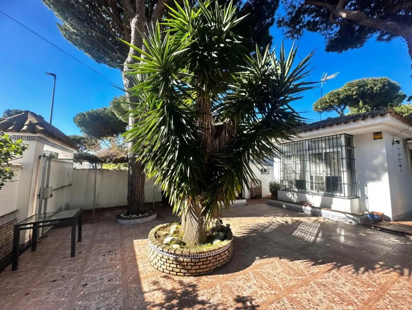 Jardín de Finca rústica en venta en Chiclana de la Frontera