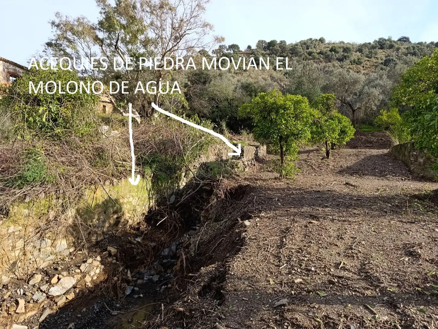 Terreno en venta en Málaga