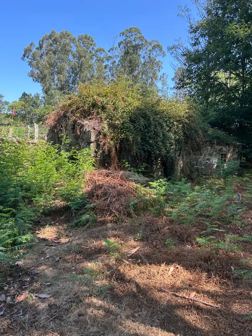 Terreno residencial en venta en Lugar a Lomba, imagen 5